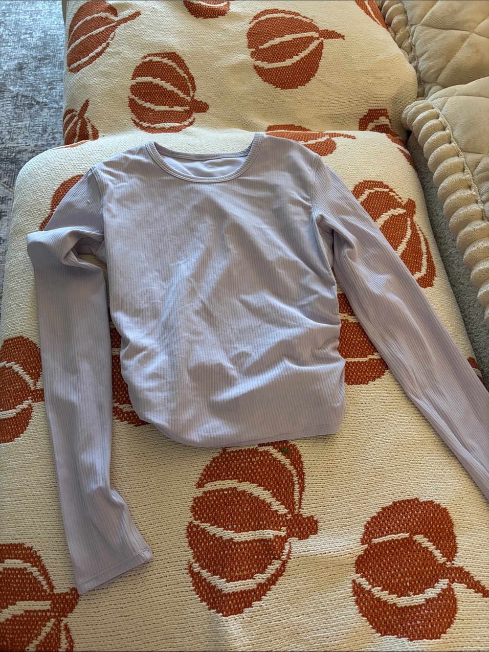 Long Sleeve Ribbed Crewneck Top in Light Lavender - Women